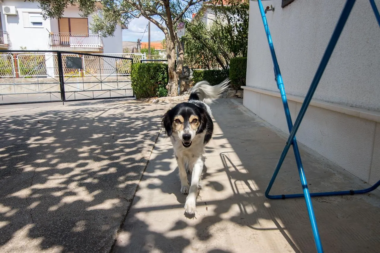 Apartment And Rooms Ruza Τρογκίρ